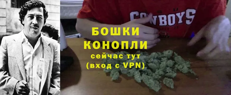 закладка  Северская  Каннабис White Widow 